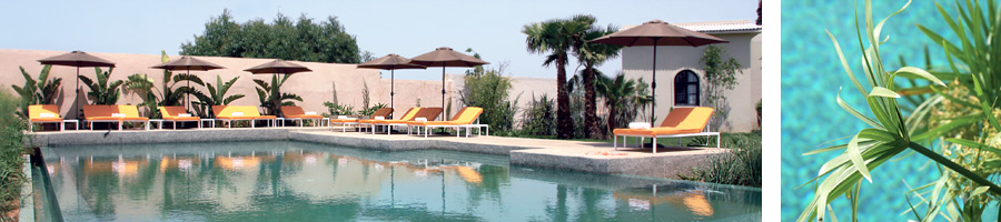 Piscine les cypres el jadida