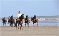 El jadida equitation